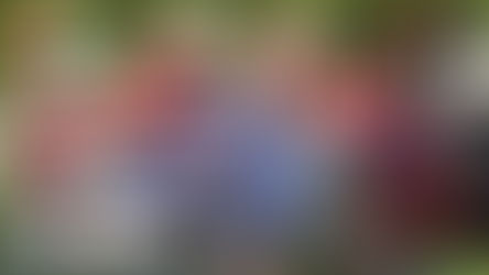 Plainte du collectif RAF contre Vincent Bolloré : L'OMSAC affiche son soutien indéfectible