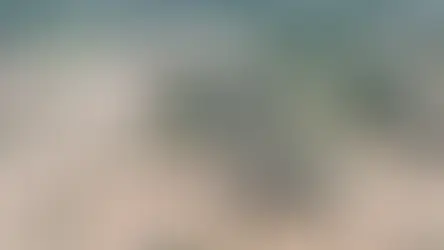 Torrential rains in Libya kill more than 2,000, local authorities say