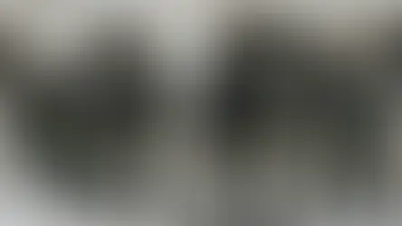 The eye of OMSAC: The rule of law begins in the ranks of the police