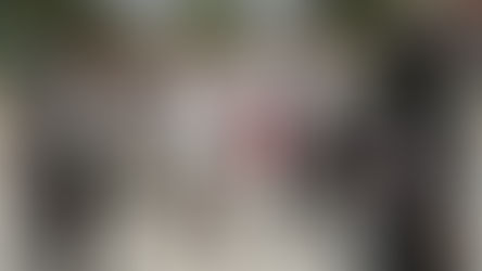 OMSAC dénonce l’escalade de violences et le silence suspect de la communauté internationale face à la crise en Haïti