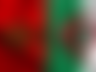Algerian Humanitarian Action: Symbol of Solidarity and Nobility towards Morocco
