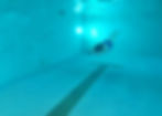 Screenshot_20241011_164428_Gallery.jpg