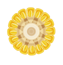 pngegg(13).png