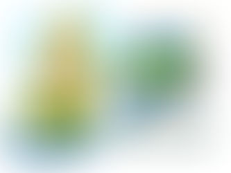 Jornada gratuita de Reiki a distancia