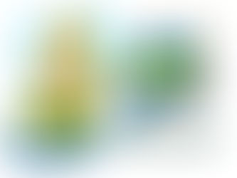 BOLETÍN INFORMATIVO 💻