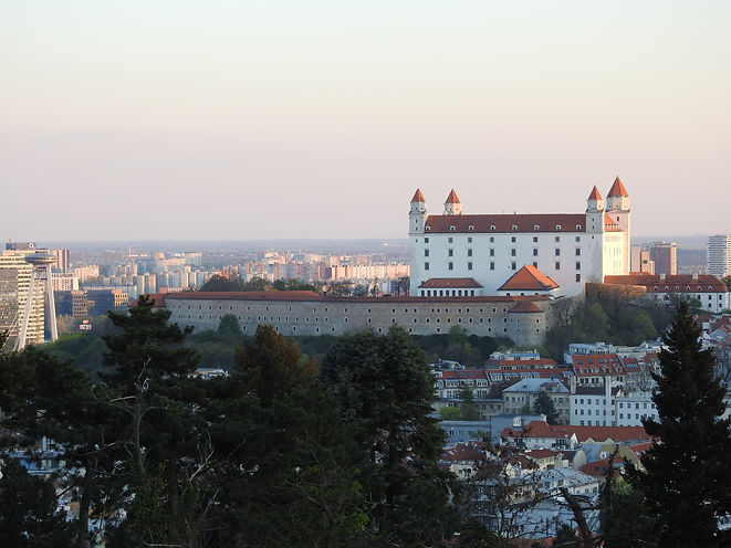 DSCN7987.JPG