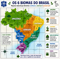 bioma - quebra caeças.png