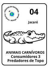 Cadeia Alimentar 01 - prof. Muna (3).jpg