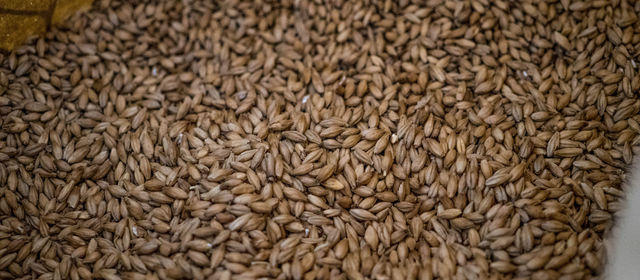 CIRCULAR ECONOMY: THE VIRTUOUS MODEL WHICH TRANSFORMS WASTE IN RESOUCE