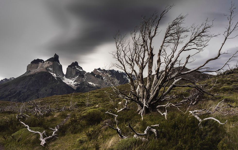PATAGONA