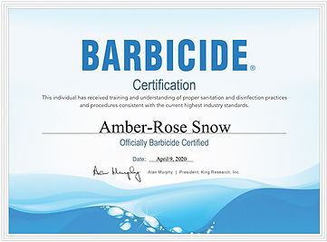 Barbicide Certificate.jpg
