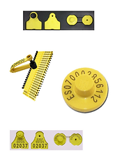 Diseño sin título (11).png