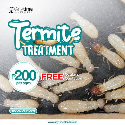 TERMITE