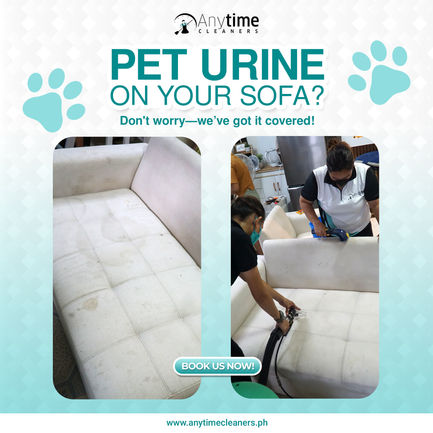 sofa