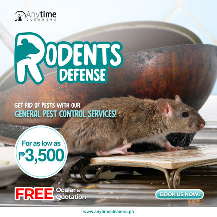 rodents