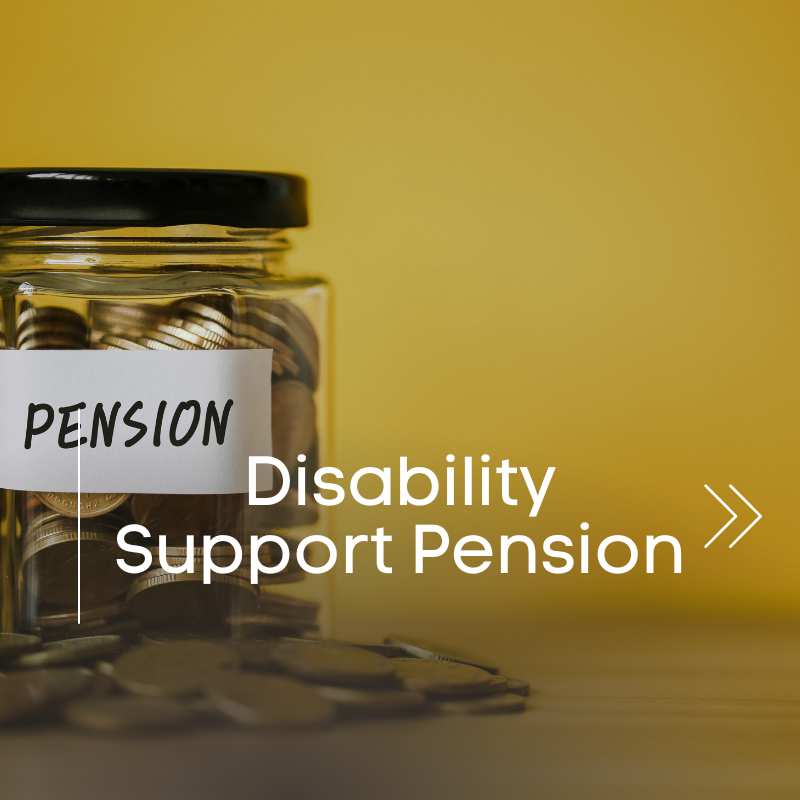 Understanding the Disability Support Pension