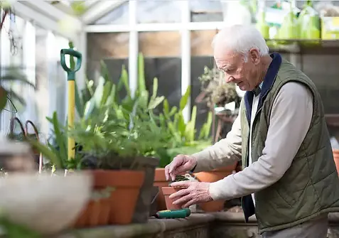 elderly person taking care of plants