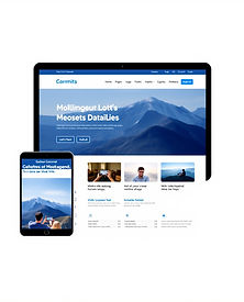Website Design.jpg