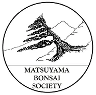 MBS logo.webp