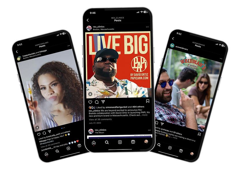 Rev Influencer program_edited.png