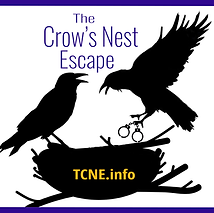 TCNE logo boxed color background.png