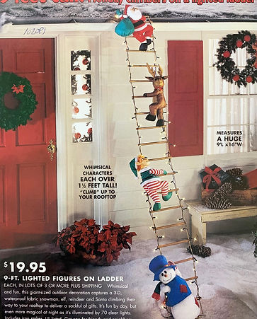 ladderimage.jpeg