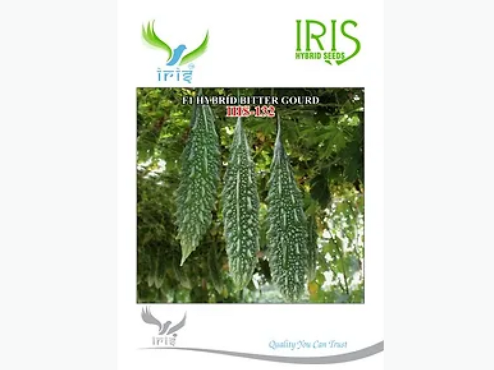 Bitter Gourd Seed | irisseeds
