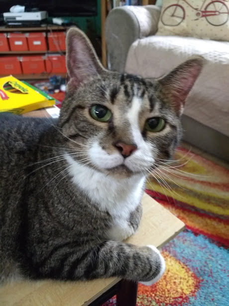 IMG_20190716_100619432