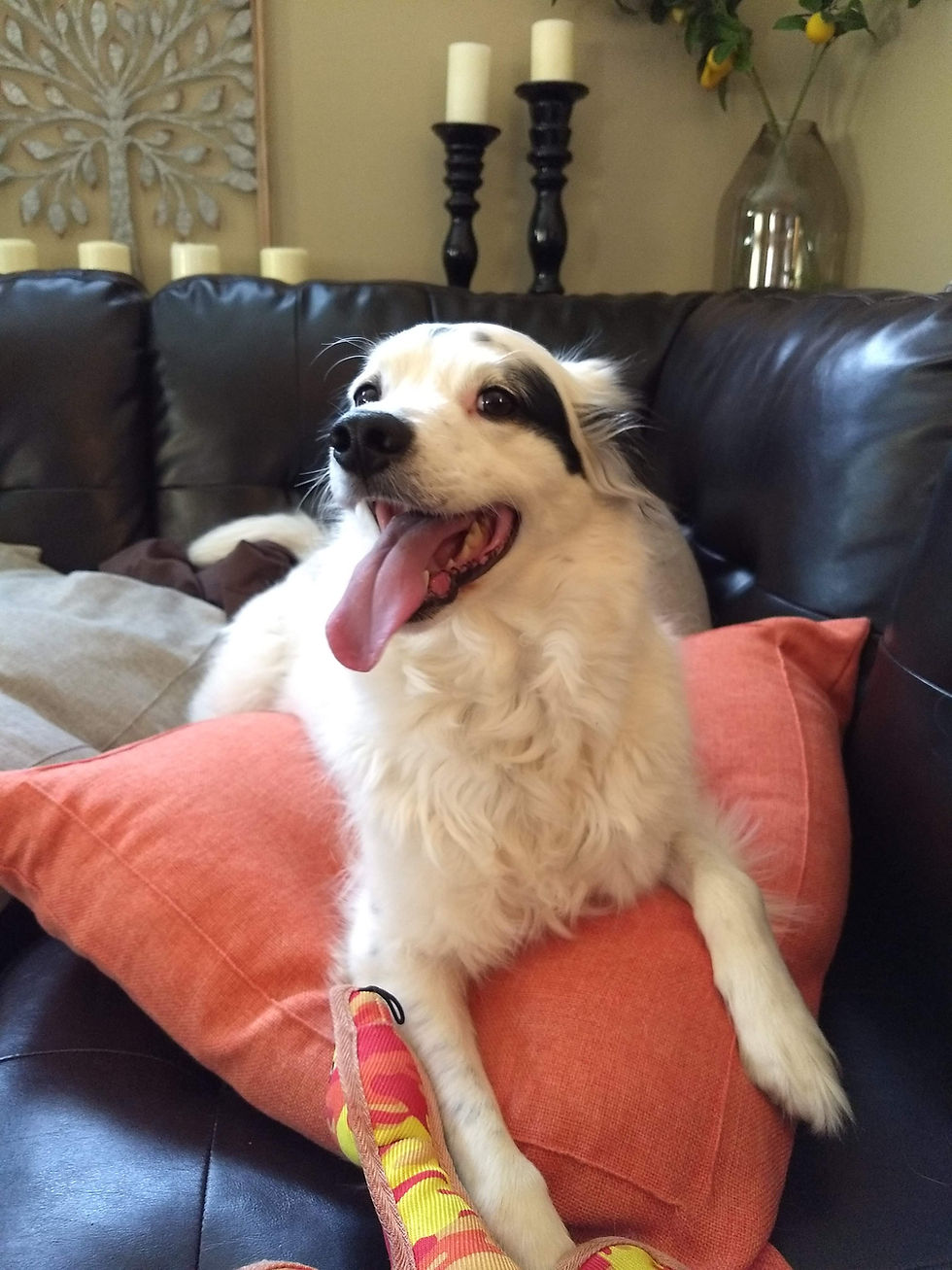 IMG_20210427_115742991