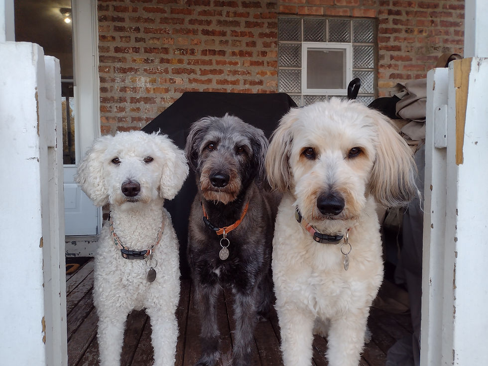 IMG_20250423_190140137