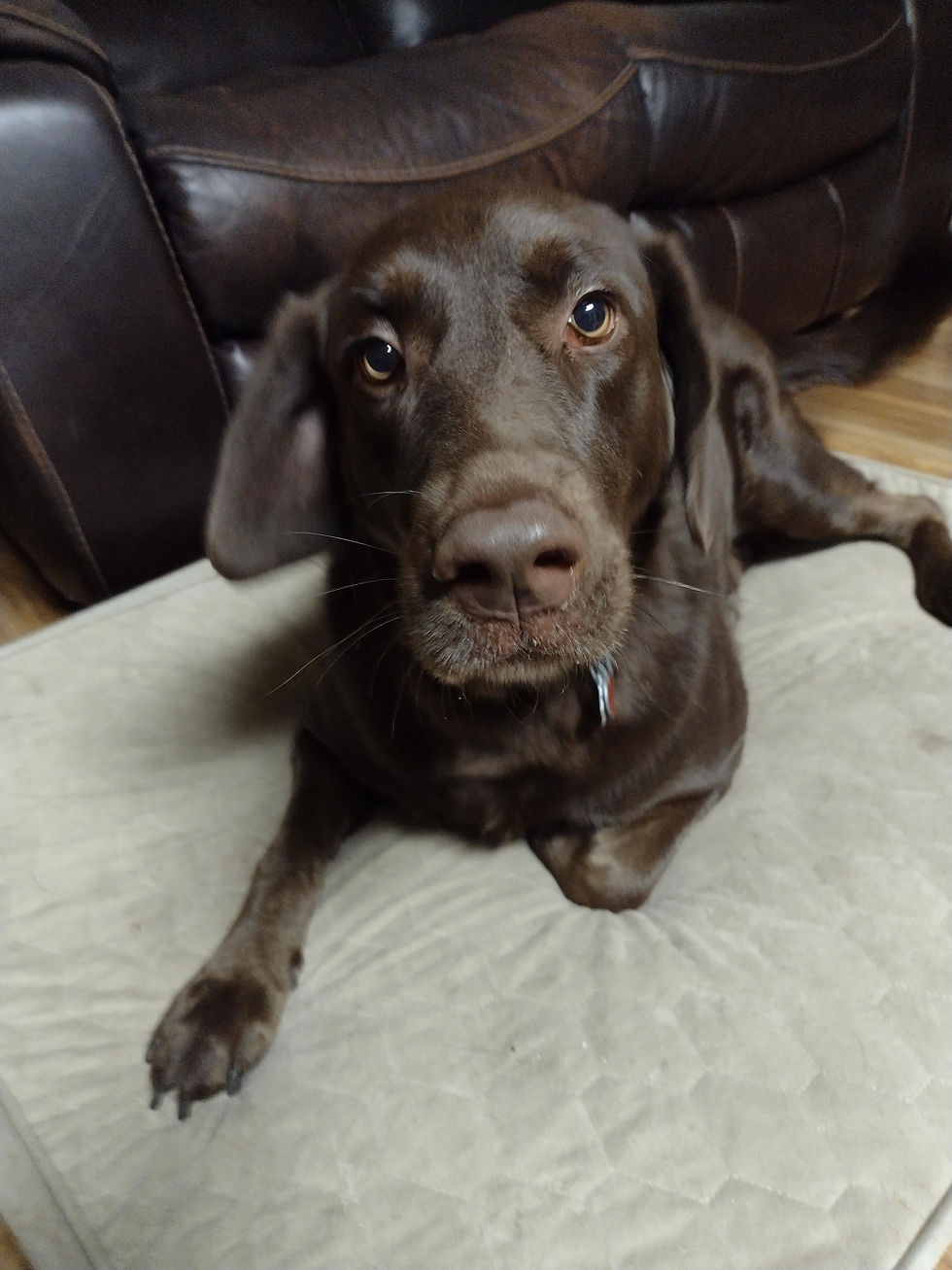 IMG_20251127_184913671