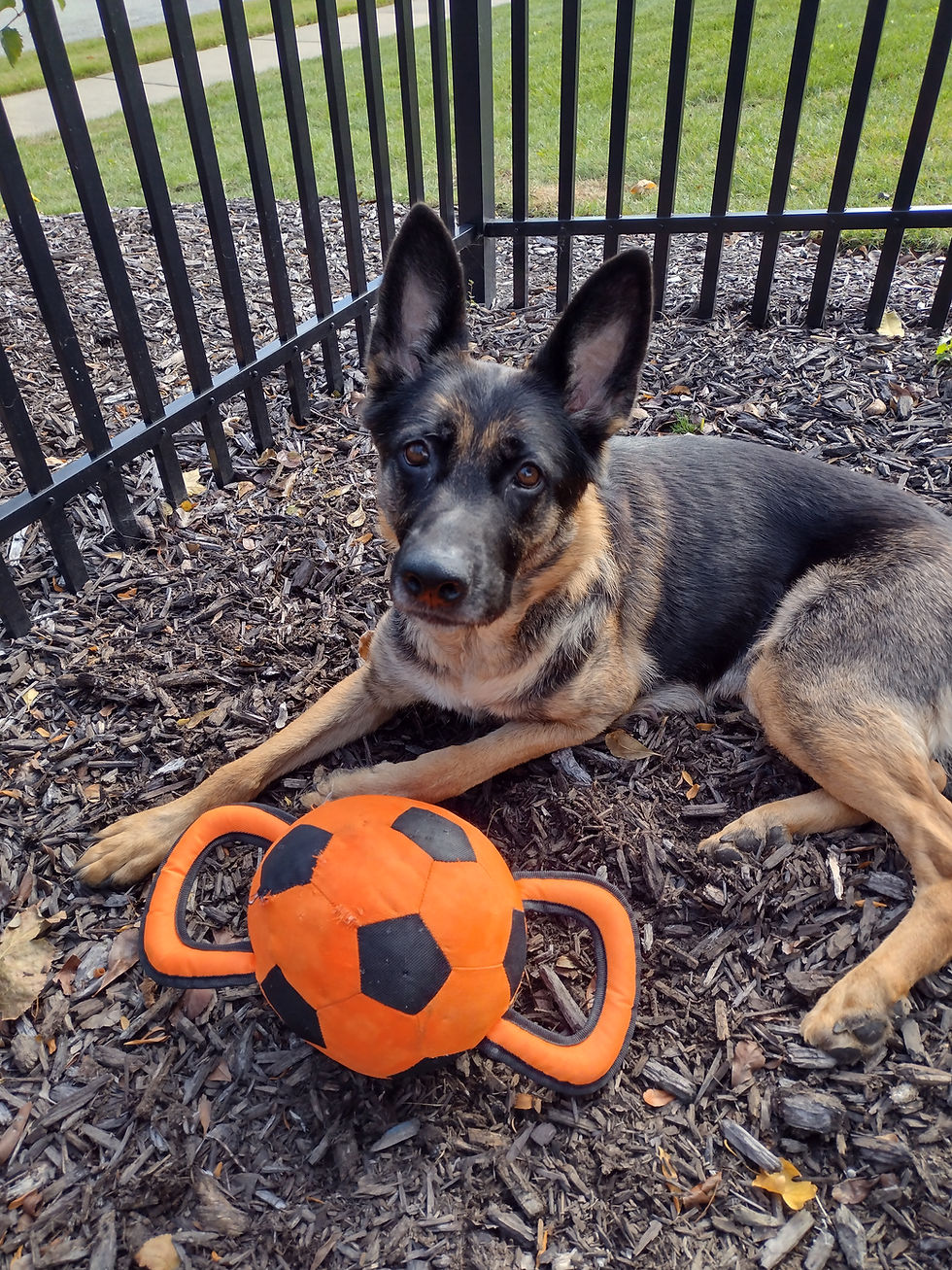 IMG_20251031_125015024_HDR