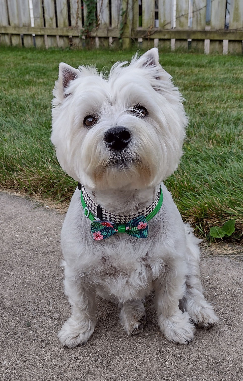 IMG_20220915_175024459_HDR~2