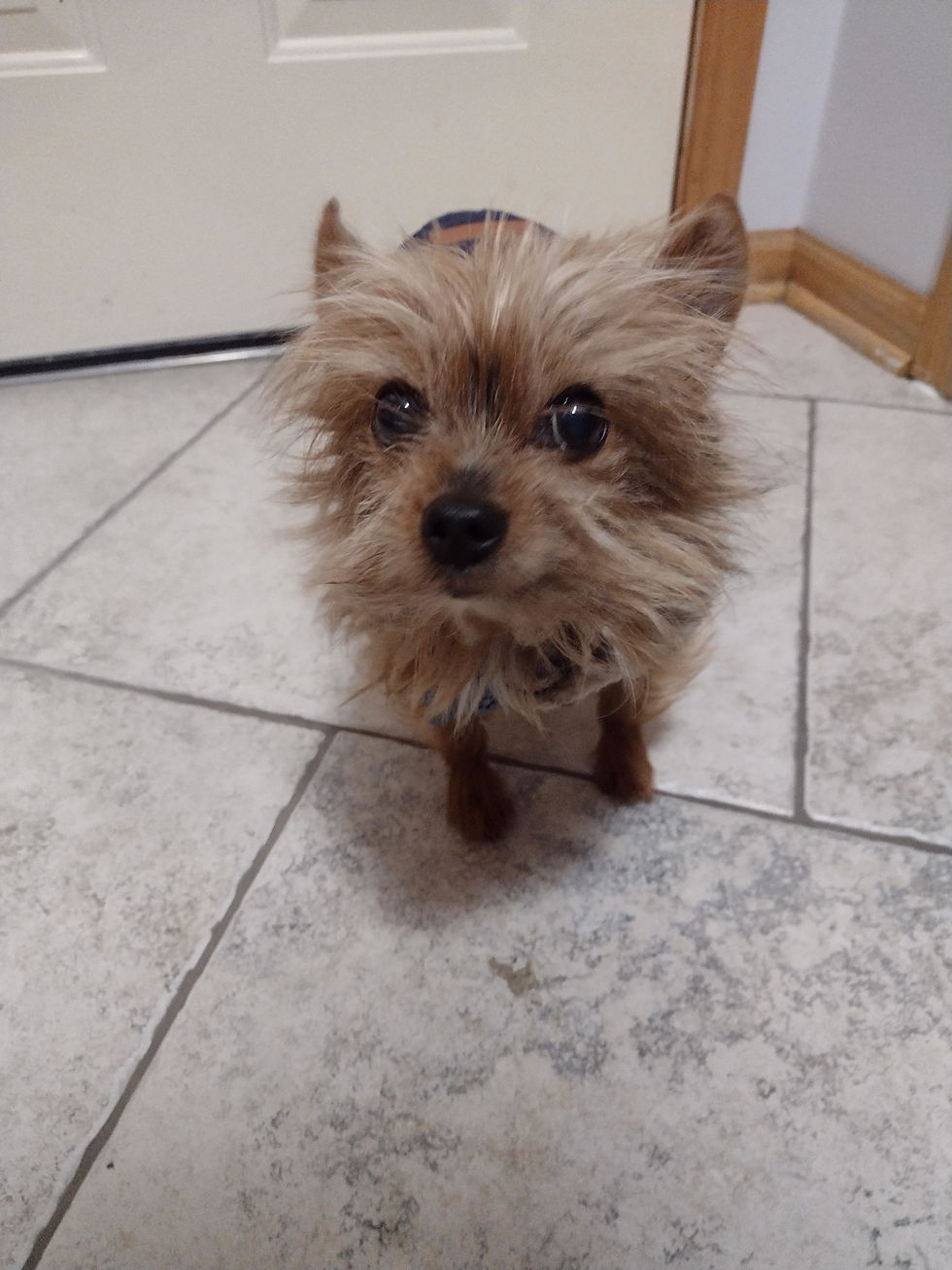 IMG_20251205_165928010