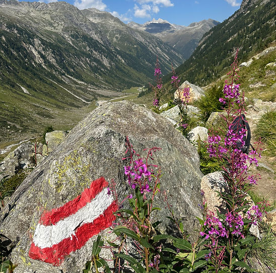 foto bergen zomer_edited.jpg