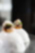 IMG_2265.jpeg