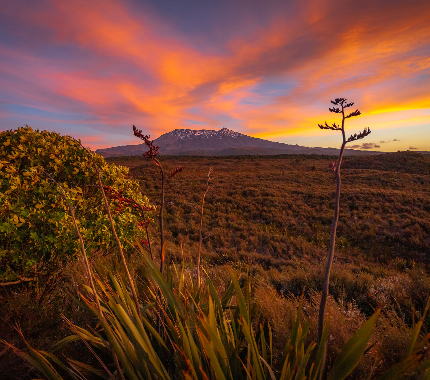 Ruapehu's Allure