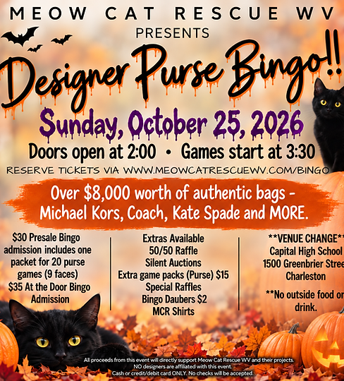 Halloween Designer Purse Bingo Poster.png
