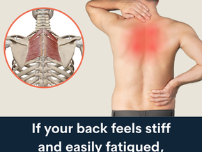 Rhomboid Muscle Pain: Why Your Mid‑Back Feels Stiff & Drains Your Energy