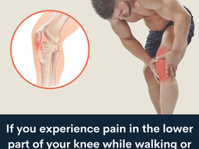 Man holding lower knee; patellar tendon area highlighted.