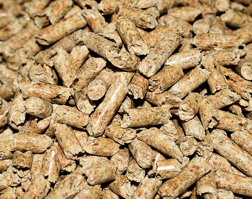 Biomass Fuel Pellets