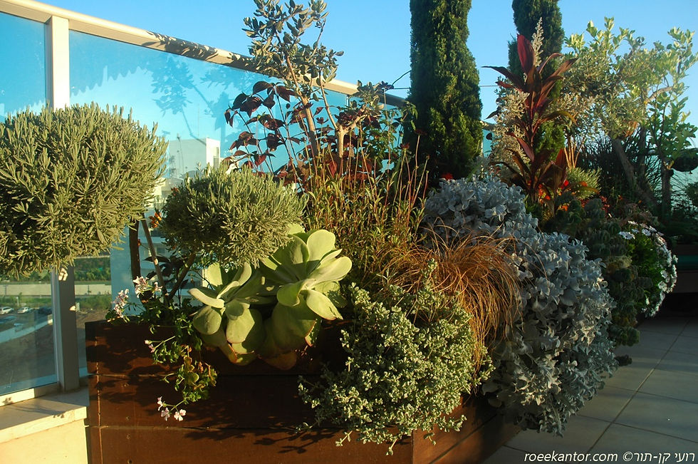 אדניות מעוצבות