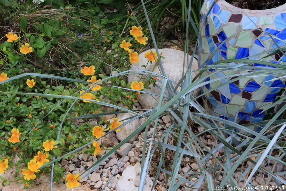 כד פסיפס בעיצוב אפרת סלוצקי (10)