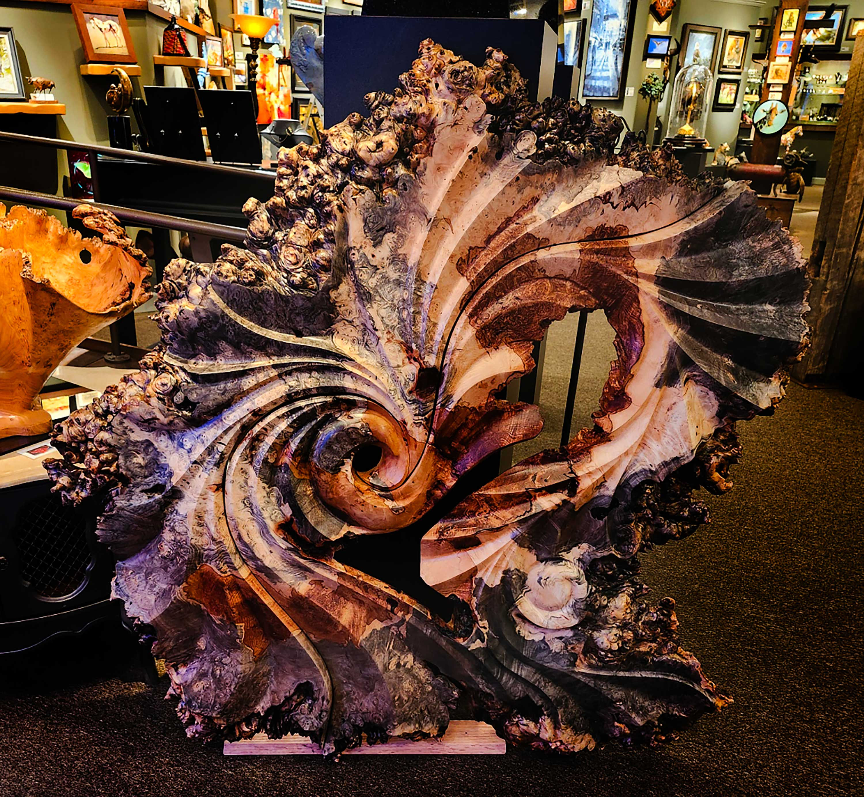 Buckeye Burl Wall Hanging