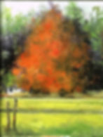 Fall Colors by Dave Ivey