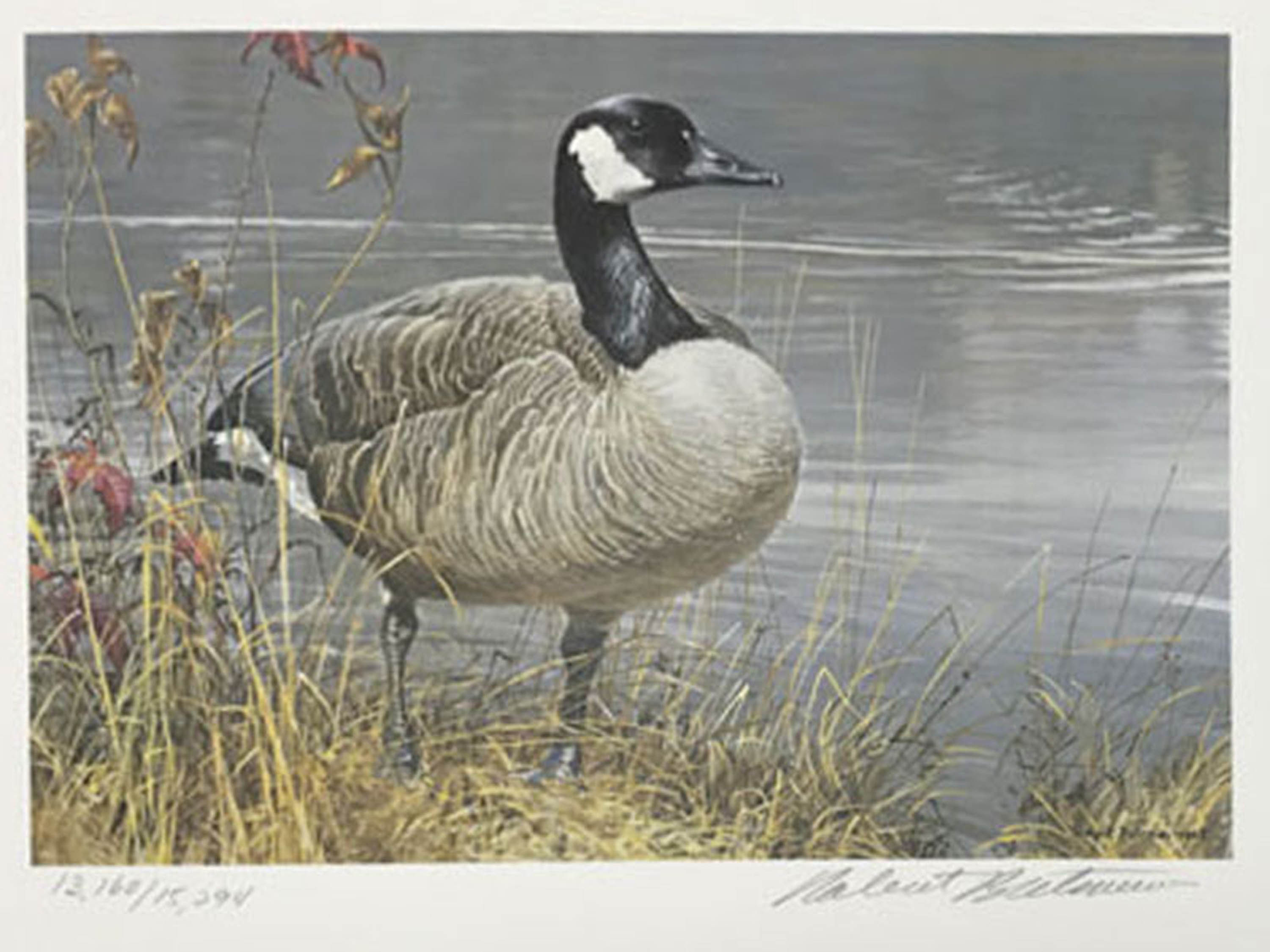 1987 National Fish and Wildlife Foundation Print