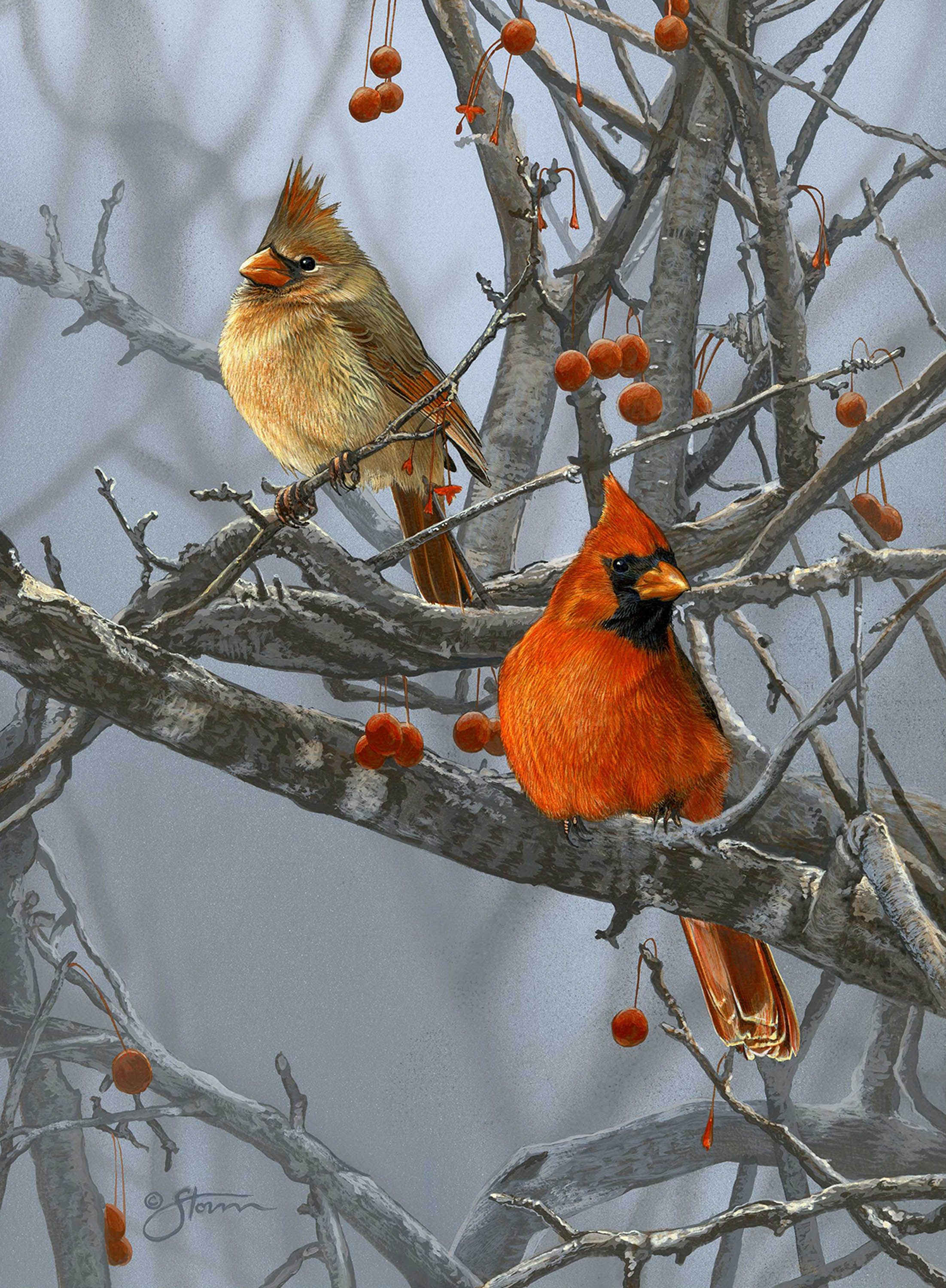 Crabapple Cardinals