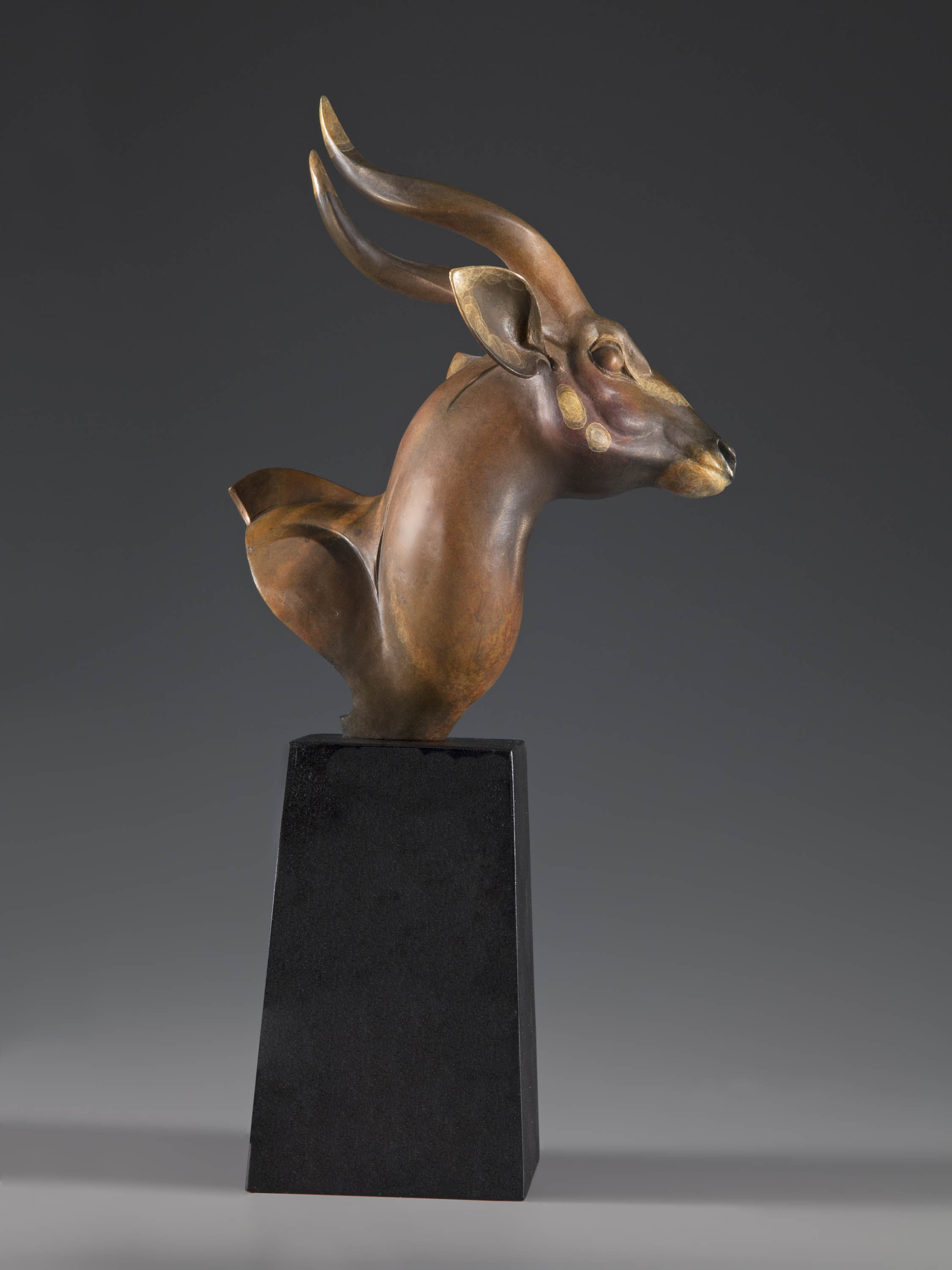 Bongo Antelope Bust