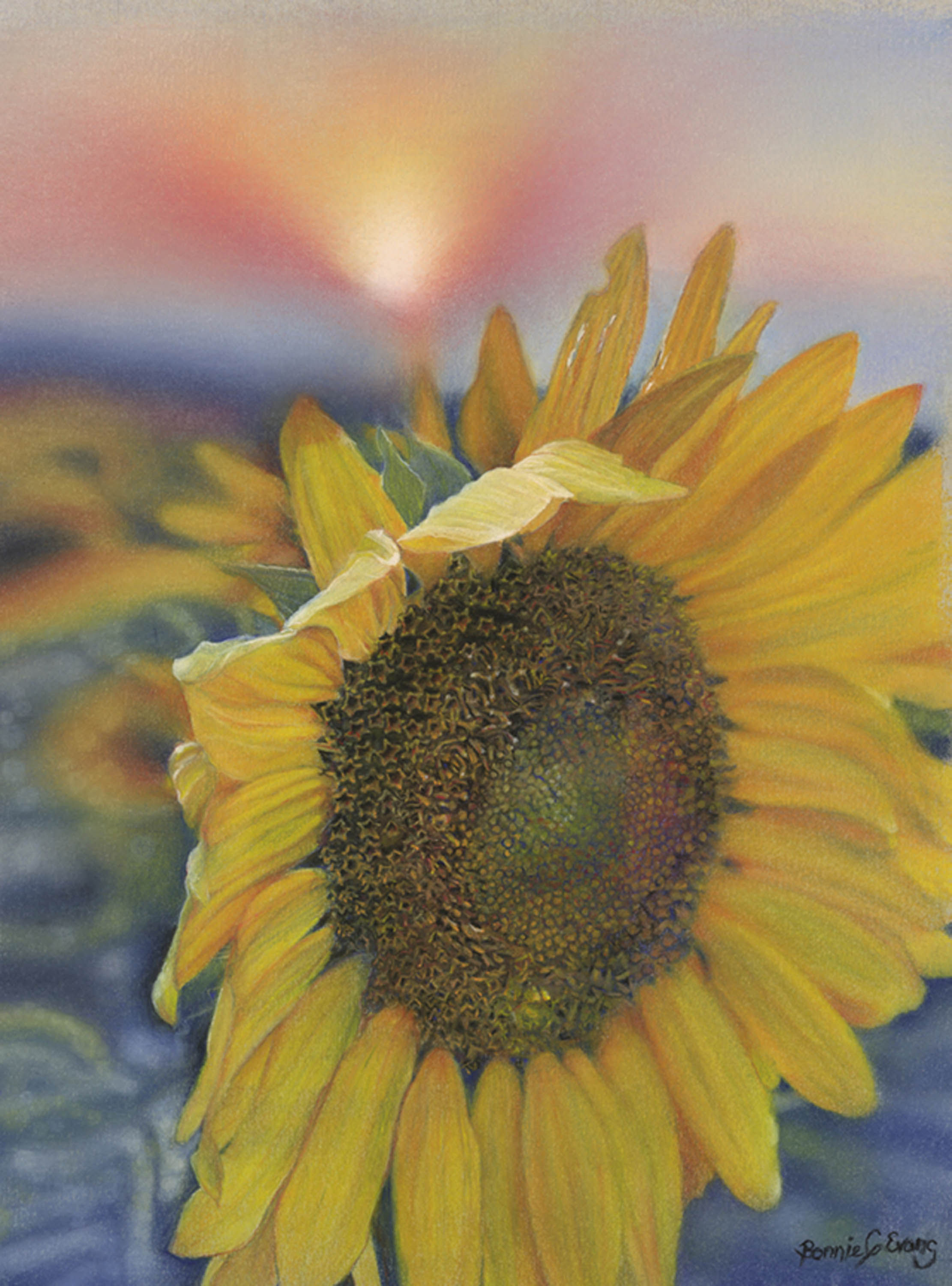 Finding Joy by Bonnie Evans