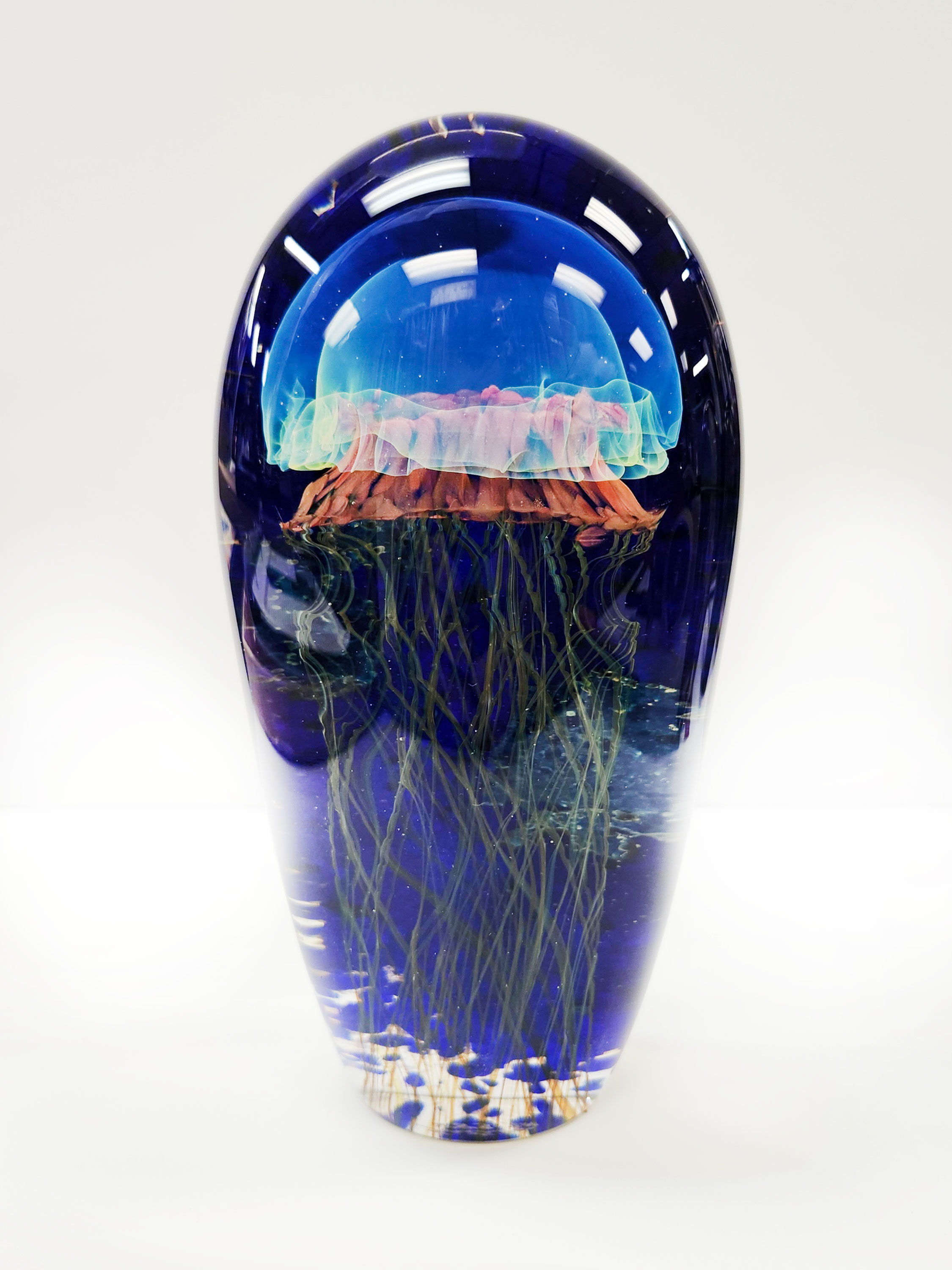 Moon Jellyfish Seascape